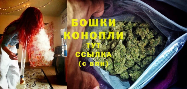 дживик Дмитров