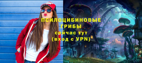 дживик Дмитров