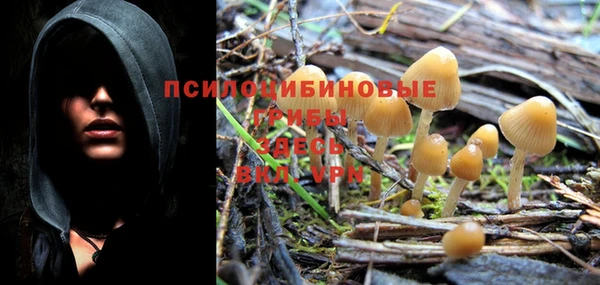 ALPHA-PVP Дмитриев