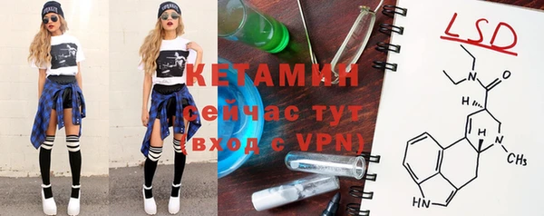 ГАЛЛЮЦИНОГЕННЫЕ ГРИБЫ Гусь-Хрустальный